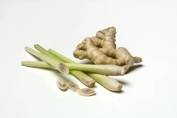 Framed Print : Ginger, Ginger Root and Lemongrass Print Framed Print : Ginger, Ginger Root and Lemongrass Print