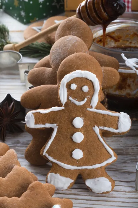 Framed Print : Gingerbread Print by imageBROKER Framed Print : Gingerbread Print by imageBROKER
