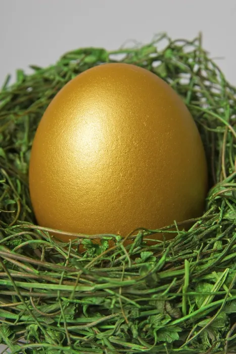 Framed Print : Golden Easter Egg in a Nest Print Framed Print : Golden Easter Egg in a Nest Print