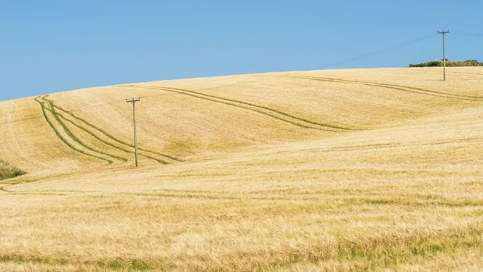 Framed Print : Golden Fields of Grain Print, Cornwall, England Framed Print : Golden Fields of Grain Print, Cornwall, England