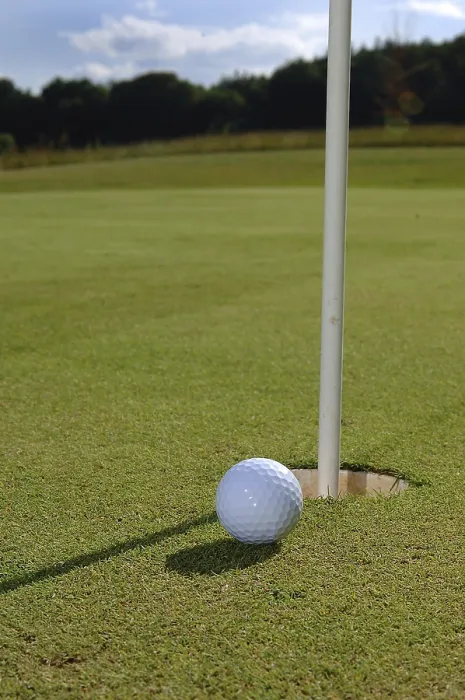 Framed Print : Golf Golf Print by ImageBROKER Framed Print : Golf Golf Print by ImageBROKER