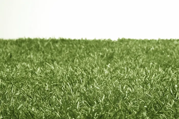 Framed Print : Golf Course Print - Lush Green Lawn Framed Print : Golf Course Print - Lush Green Lawn
