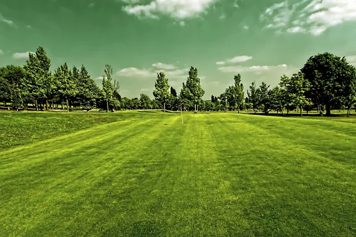 Framed Print : Golf Field Print Framed Print : Golf Field Print