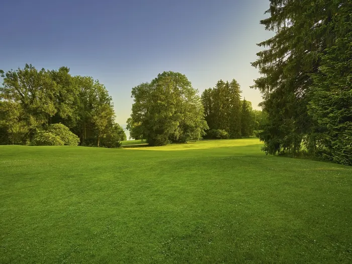 Framed Print : Golf Ground Print by imageBROKER Framed Print : Golf Ground Print by imageBROKER