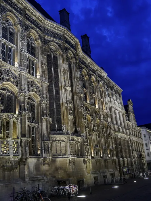 Framed Print : Ghent Gothic Building Nighttime Print Framed Print : Ghent Gothic Building Nighttime Print