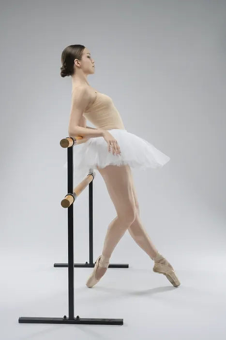 Framed Print : Ballet Dancer at the Barre Print Framed Print : Ballet Dancer at the Barre Print