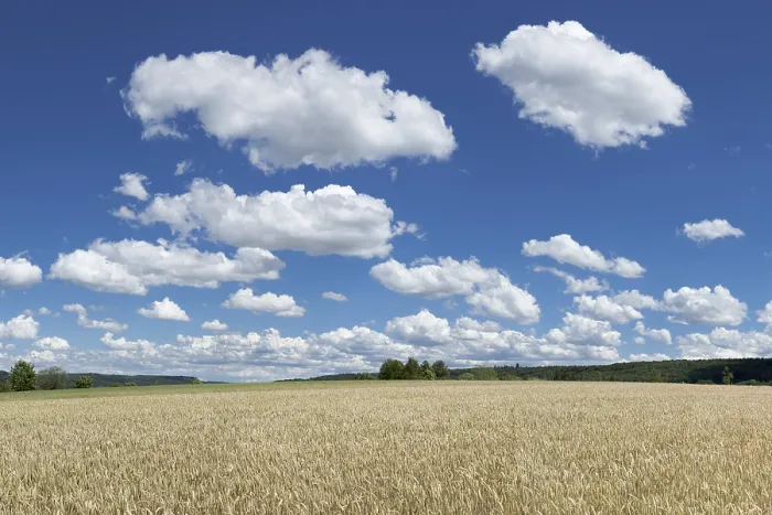 Framed Print : Grain Field and Cumulus Clouds Print, Waldenbuch, Germany Framed Print : Grain Field and Cumulus Clouds Print, Waldenbuch, Germany