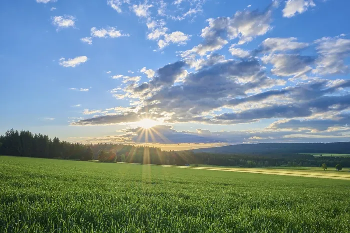 Framed Print : Print of Grain Field Sunset in Weienstadt, Bavaria, Germany