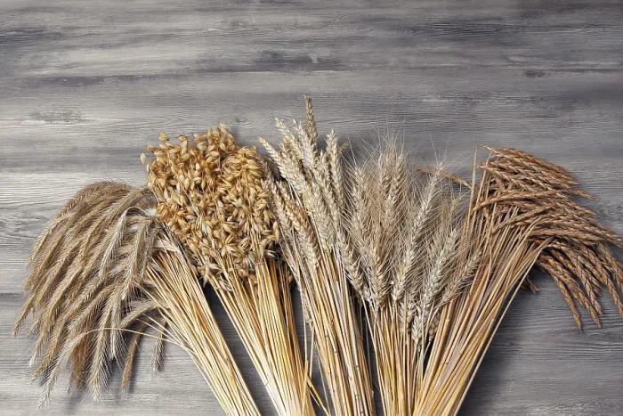 Framed Print : Grain Sheaves Print Framed Print : Grain Sheaves Print