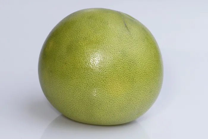 Framed Print : Grapefruit Print (Citrus maxima) Framed Print : Grapefruit Print (Citrus maxima)