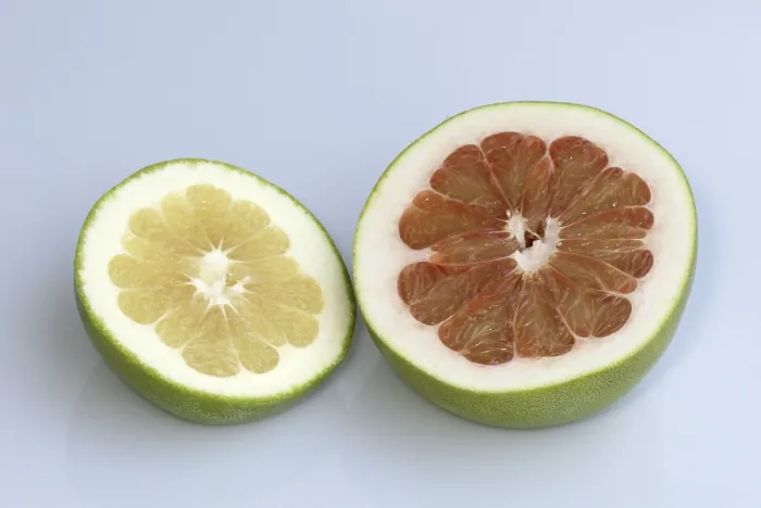 Framed Print : Grapefruit Print - Citrus maxima Framed Print : Grapefruit Print - Citrus maxima