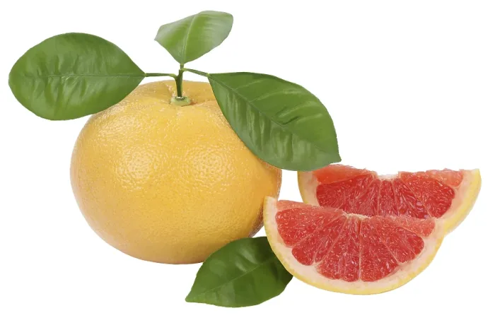 Framed Print : Grapefruit Print Isolated on White Background Framed Print : Grapefruit Print Isolated on White Background