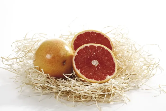 Framed Print : Grapefruit Ruby in Wood Shavings Print Framed Print : Grapefruit Ruby in Wood Shavings Print