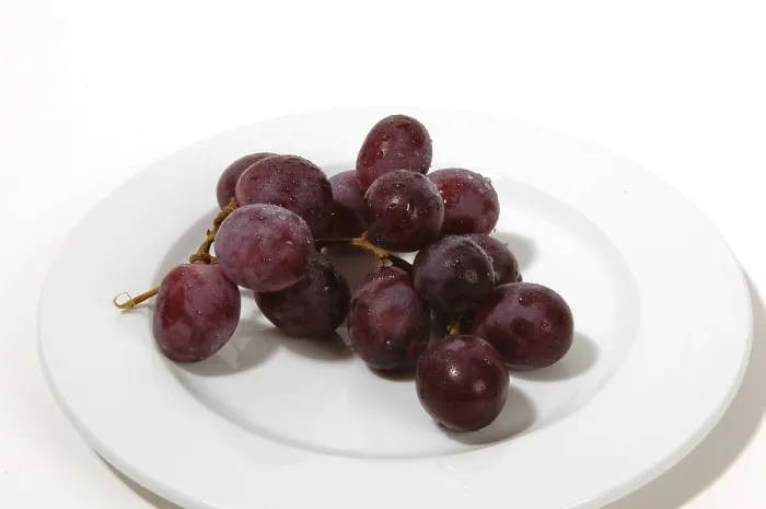 Framed Print : Grapes Print by ImageBROKER Framed Print : Grapes Print by ImageBROKER