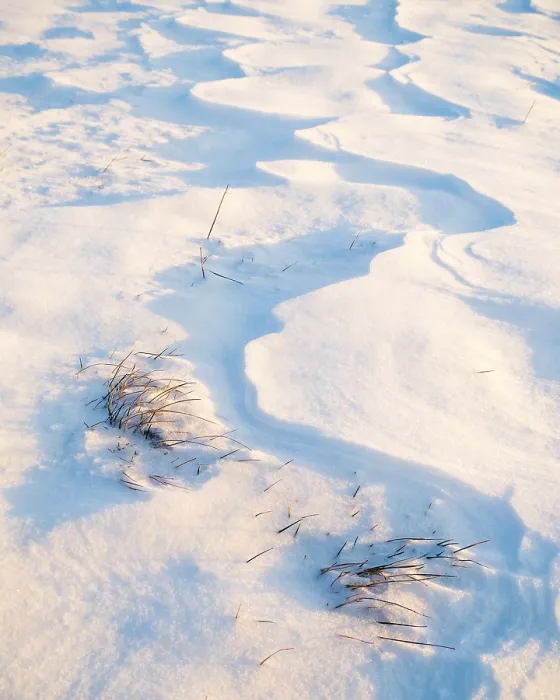Framed Print : Winter Landscape Print: Grass and Snow Framed Print : Winter Landscape Print: Grass and Snow