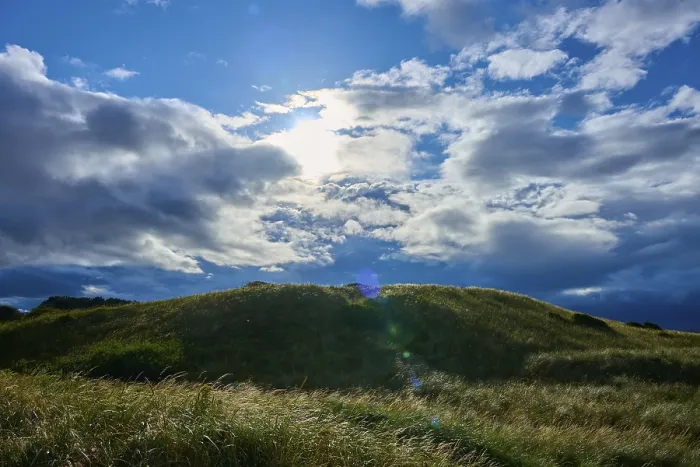 Framed Print : Seahouses Grassy Hills Print Framed Print : Seahouses Grassy Hills Print