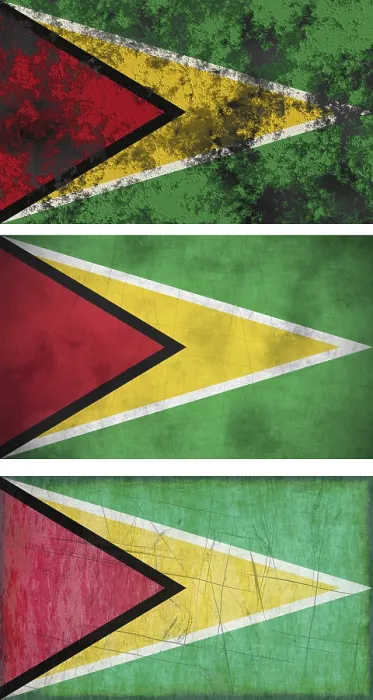 Framed Print : Great Image of the Flag of Guyana Print Framed Print : Great Image of the Flag of Guyana Print