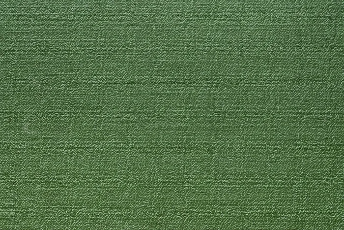 Framed Print : Green Abstract Texture Print - Close-up Macro View Framed Print : Green Abstract Texture Print - Close-up Macro View