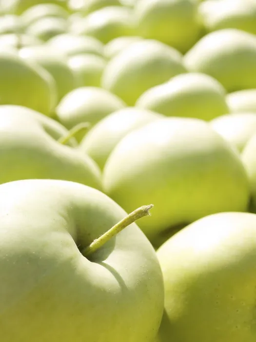 Framed Print : Green Apples Print by imageBROKER Framed Print : Green Apples Print by imageBROKER