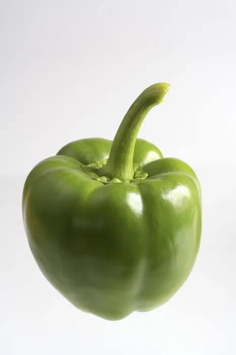 Framed Print : Green Bell Pepper Print Framed Print : Green Bell Pepper Print
