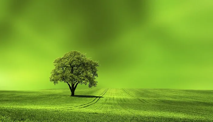 Framed Print : Green Earth Print by ImageBROKER Framed Print : Green Earth Print by ImageBROKER