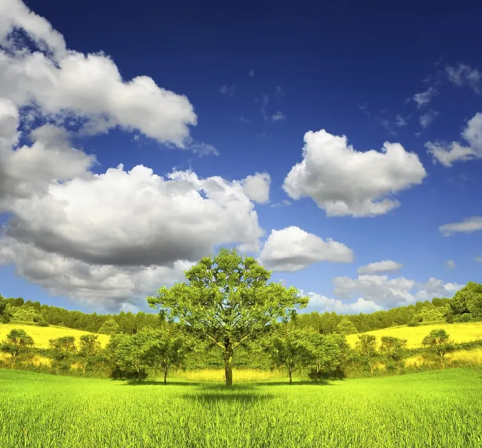 Framed Print : A Green Field Print Framed Print : A Green Field Print