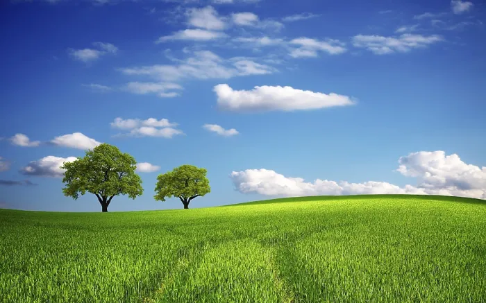 Framed Print : Print of a Green Field in Spring Framed Print : Print of a Green Field in Spring