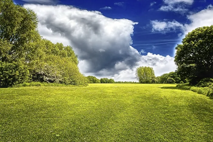 Framed Print : Green Field and Stormy Cloud Print Framed Print : Green Field and Stormy Cloud Print