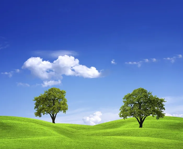 Framed Print : Green Field and Trees Print Framed Print : Green Field and Trees Print