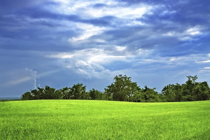 Framed Print : Green Field and Trees Print Framed Print : Green Field and Trees Print