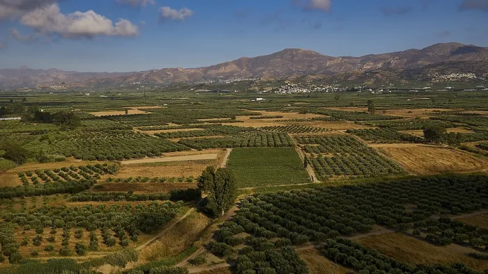 Framed Print : Green Fields with Mountains Print, Crete, Greece Framed Print : Green Fields with Mountains Print, Crete, Greece
