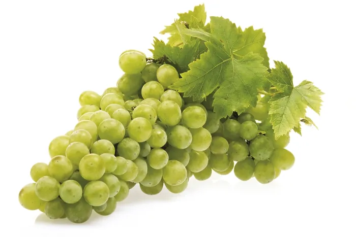 Framed Print : Green Grapes Print Framed Print : Green Grapes Print