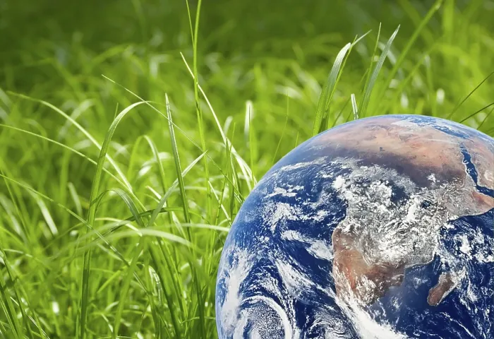 Framed Print : Green Grass and Earth Landscape Print Framed Print : Green Grass and Earth Landscape Print
