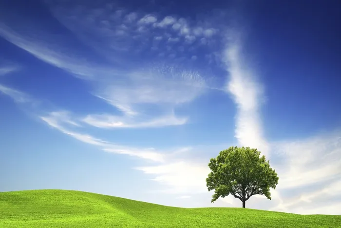 Framed Print : Green Hill Print by ImageBROKER Framed Print : Green Hill Print by ImageBROKER