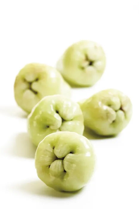 Framed Print : Green Java Apples Print (Syzygium samarangense) Framed Print : Green Java Apples Print (Syzygium samarangense)