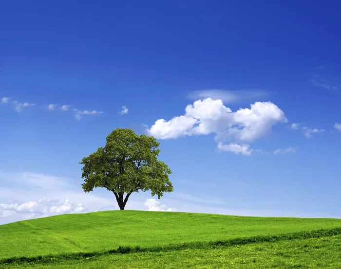 Framed Print : Green Landscape Print Framed Print : Green Landscape Print