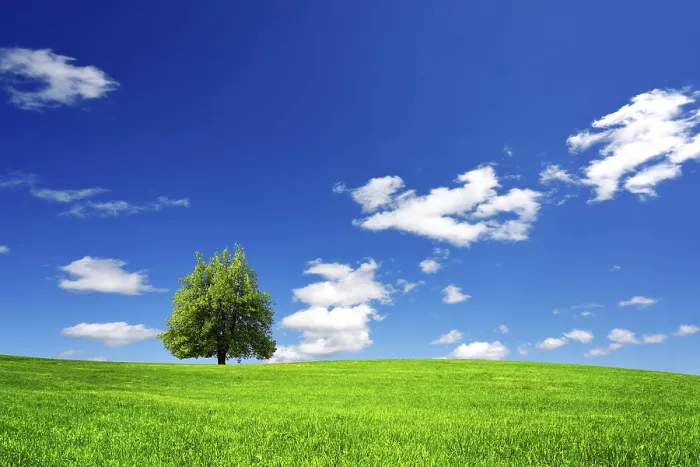 Framed Print : Green Landscape Print Framed Print : Green Landscape Print