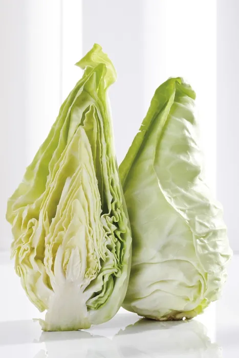 Framed Print : Green Pointed Cabbage Print Framed Print : Green Pointed Cabbage Print