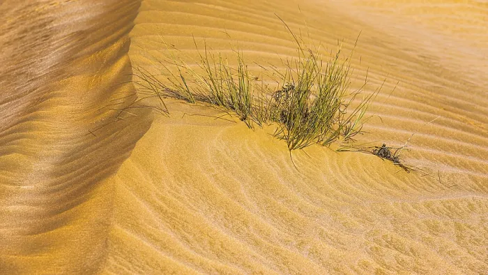 Framed Print : Hugf Stone Desert Print, Oman