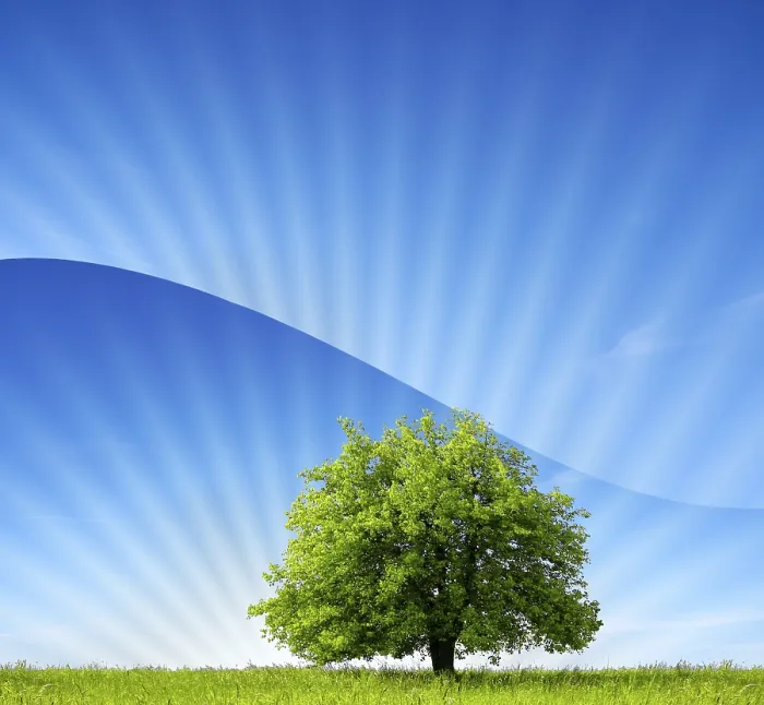 Framed Print : Green World Print by imageBROKER Framed Print : Green World Print by imageBROKER