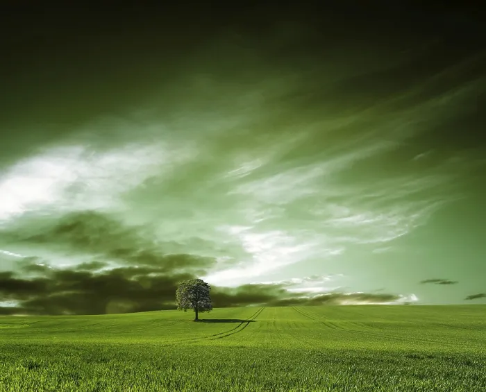 Framed Print : Green World Print - Tropical Landscape Framed Print : Green World Print - Tropical Landscape