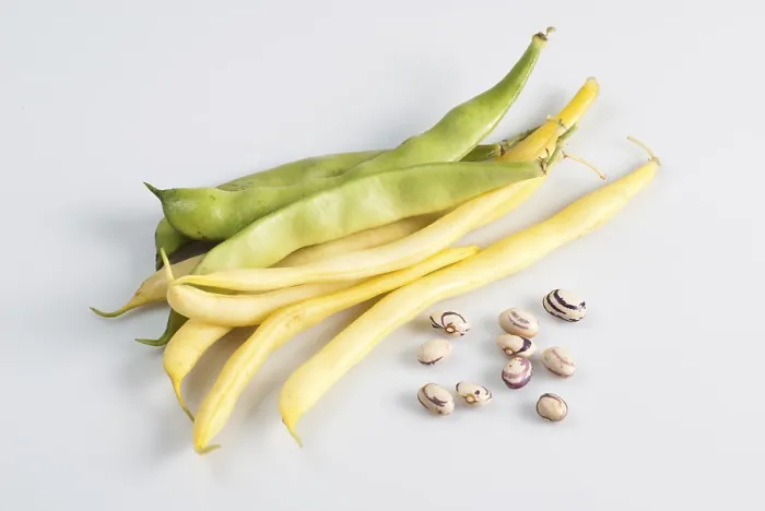 Framed Print : Green and Yellow String Beans Print on White Background Framed Print : Green and Yellow String Beans Print on White Background