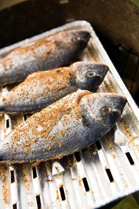 Framed Print : The Grilled Fish Print on Camping Table Framed Print : The Grilled Fish Print on Camping Table