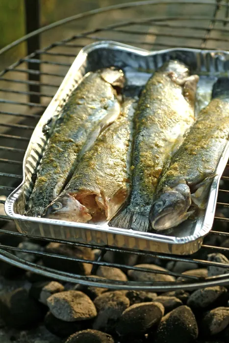Framed Print : Grilled Trout Print Framed Print : Grilled Trout Print