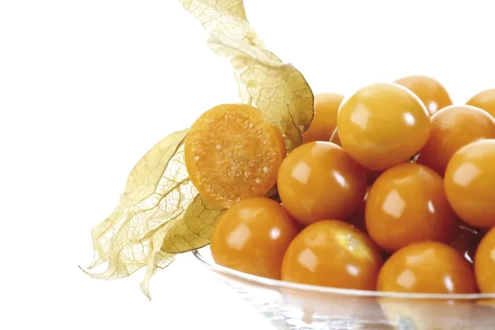 Framed Print : Groundcherries (Physalis) Print Framed Print : Groundcherries (Physalis) Print
