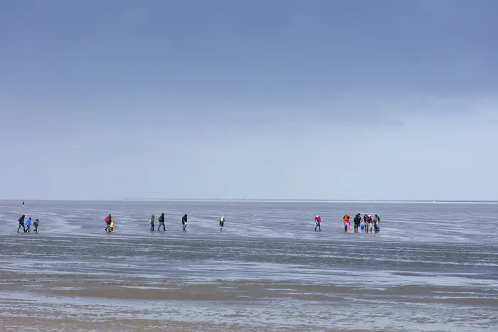 Framed Print : Mudflat Strollers in Cuxhaven Print Framed Print : Mudflat Strollers in Cuxhaven Print