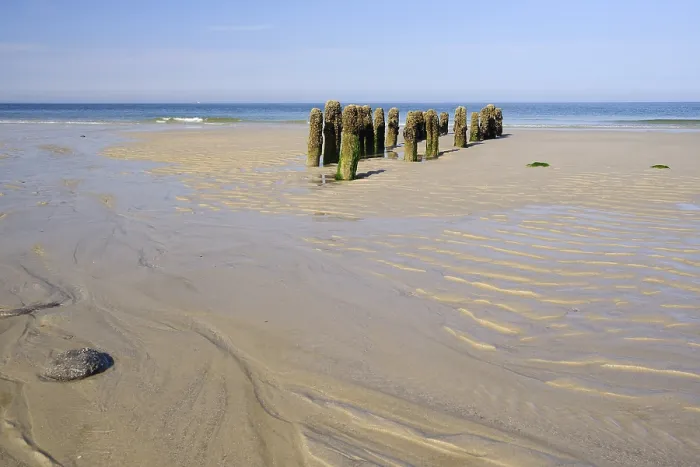 Framed Print : Groynes covered with Algae, low tide Print, Rantum Beach, Sylt Island Framed Print : Groynes covered with Algae, low tide Print, Rantum Beach, Sylt Island