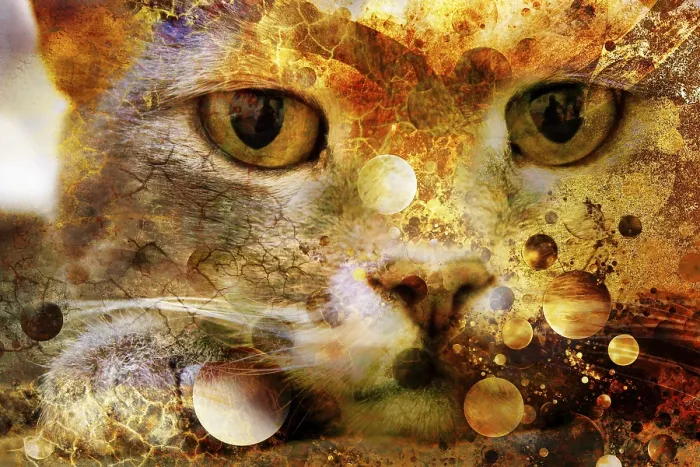 Framed Print : Grunge Cat Print Framed Print : Grunge Cat Print