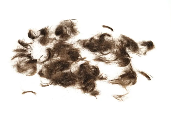 Framed Print : Hairs on White Print Framed Print : Hairs on White Print