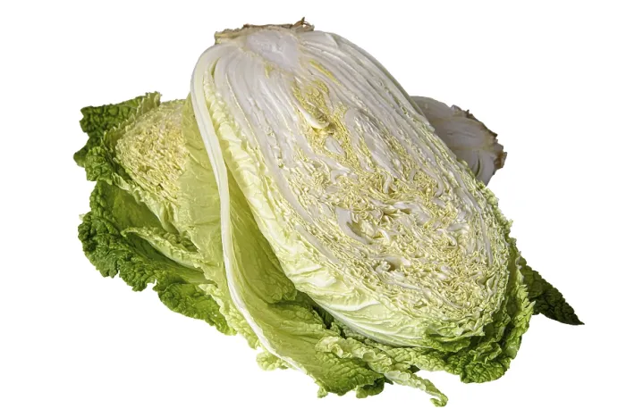 Framed Print : Beijing Cabbage Print: Close-Up Isolation Framed Print : Beijing Cabbage Print: Close-Up Isolation